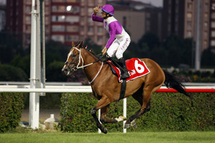 Kurtel Harası