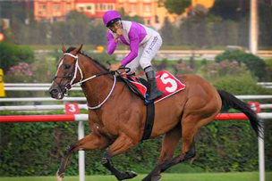 Kurtel Harası